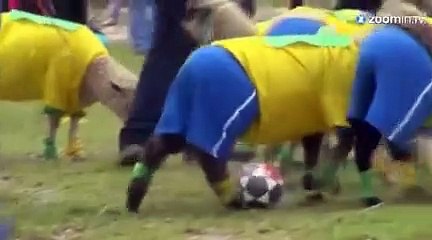 Un match Colombie-Brésil avec des moutons!