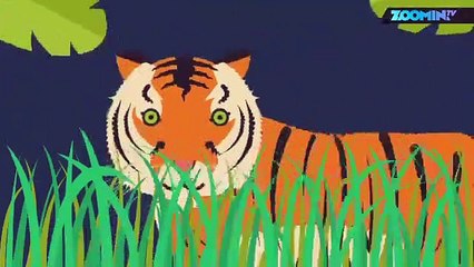 Les tigres sauvages reprennent du poil de la bête !