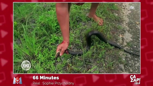Zidane en larmes dans Téléfoot