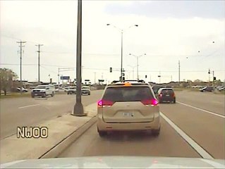 Un policier aide des canards à traverser une route