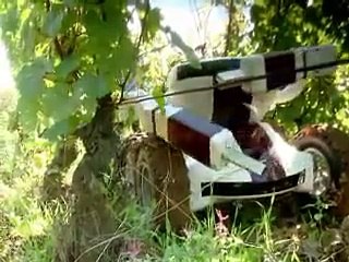 Un robot vigneron vient rivaliser avec le travail manuel