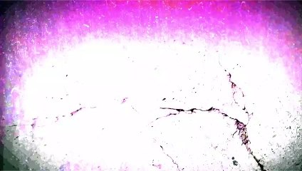 Vidéo choc : comment sont fabriqués les canards à foie gras