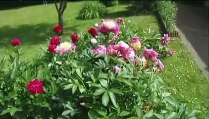 Arnaud Montebourg : "Je lui dis tout à Hollande, mais il n'écoute pas..."