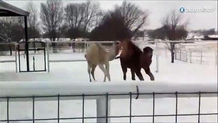 Jamais sans mes pneus d'hiver!