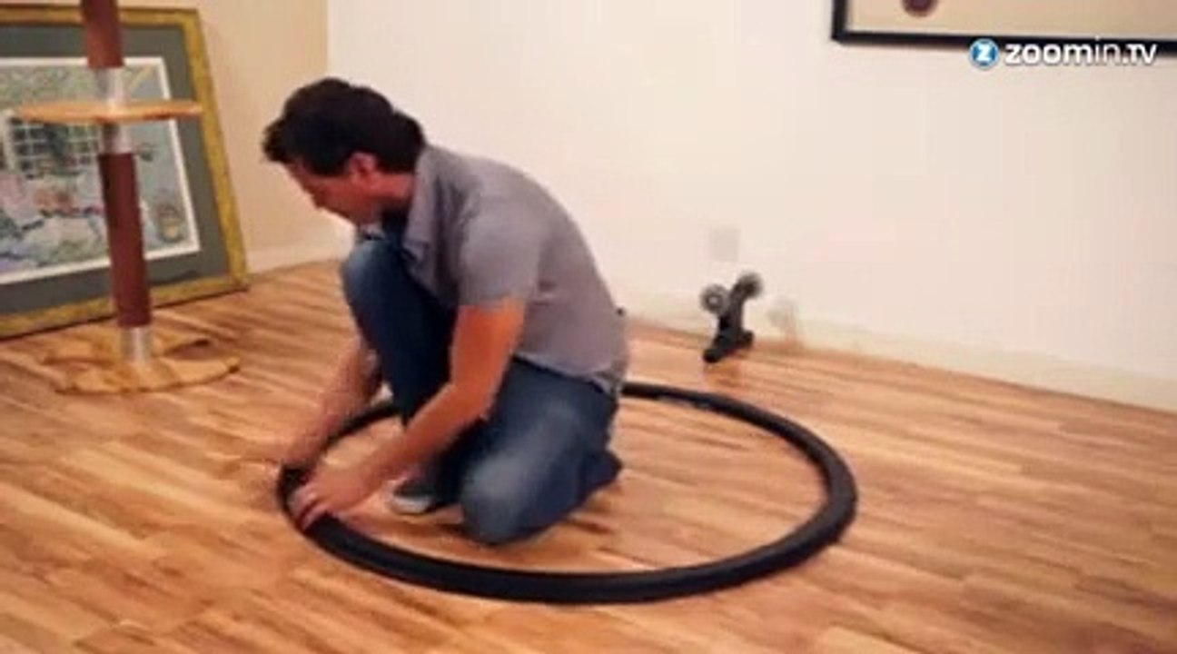 'One Fast Cat': la roue de hamster pour chat !