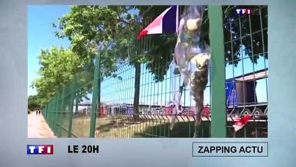 Bientôt des WC publics dédiés aux transgenres ?