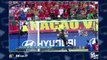 Euro 2016 : un jeune fan portugais console un supporter français en larmes