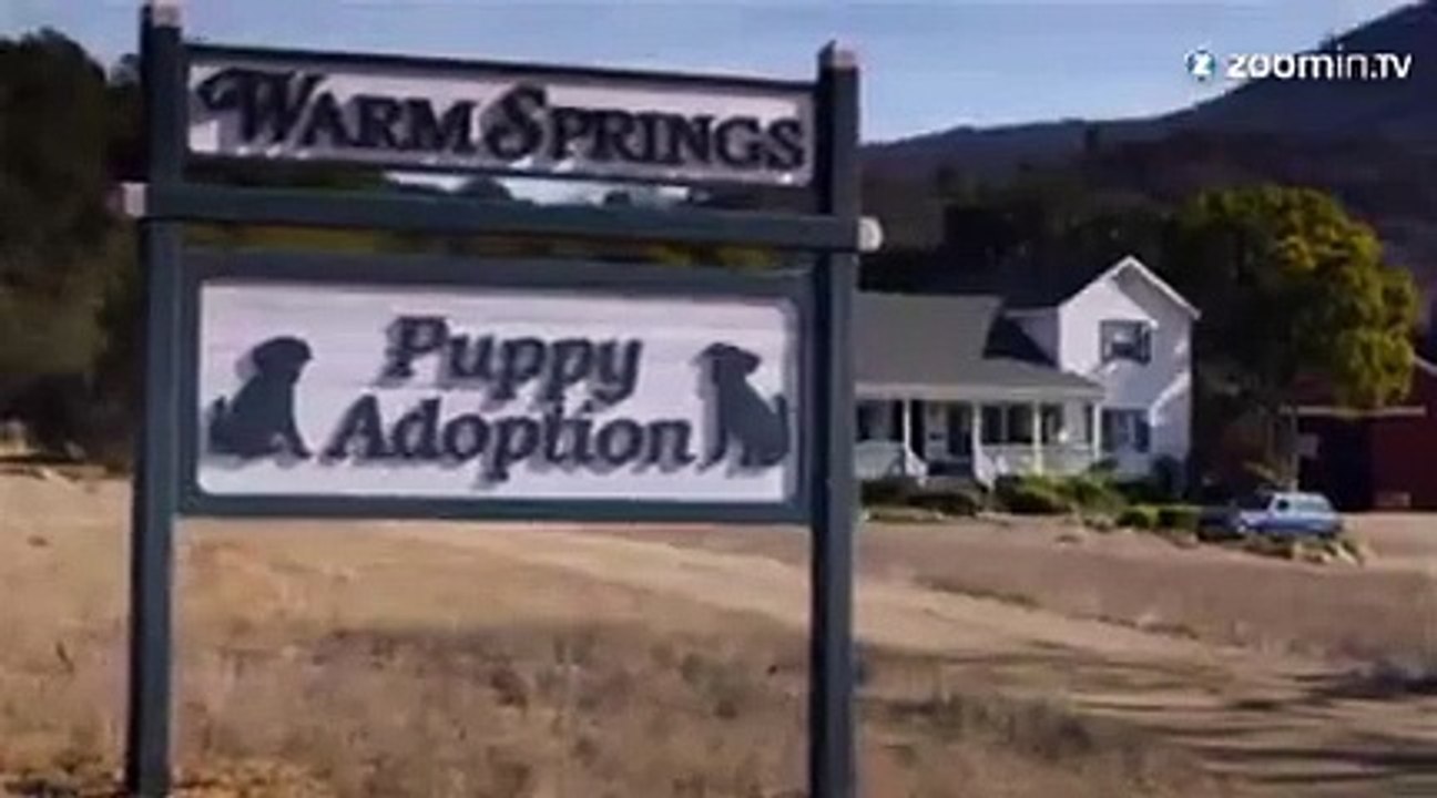 Une amitié entre un petit chien et un cheval