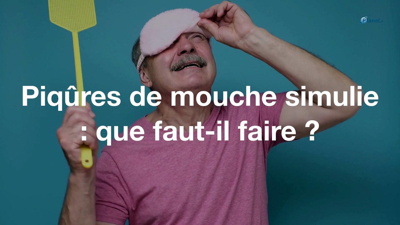Piqûres de mouche simulie : que faut-il faire ? - Vidéo Dailymotion