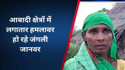 बहराइच: आबादी क्षेत्रों में लगातार बढ़ रहा जंगली जानवरों का आतंक, दहशत में लोग