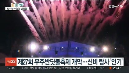 초록빛으로 물드는 전북 무주…'반딧불축제' 개막