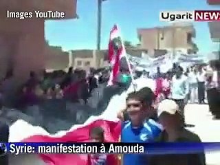 Syrie: vingt manifestants tués