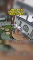 男子走路不專心，掉進自家觀景池。Man walks inattentively， fell into viewing pool.