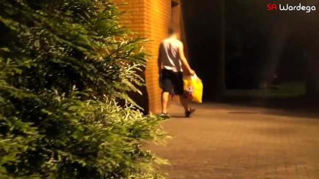 Caméra cachée : un chien déguisé en araignée mutante terrorise des passants