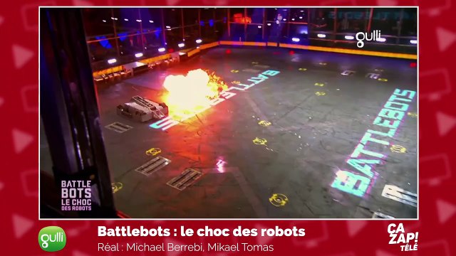 Une pétition contre la Palme d'or d'honneur d'Alain Delon