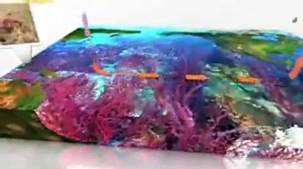 La Grande barrière de corail présente des signes de blanchiment