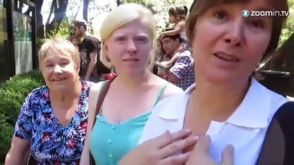 Argentine: l'orang-outan élevé au rang humain!