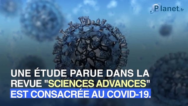 Covid-19 : quels sont les masques les plus efficaces ?