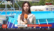 반려견과 '풍덩'…한강공원 반려견 수영장 첫 개장