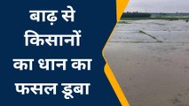 दरभंगा: नदी का पानी खेतों में किया प्रवेश, धान का फसल डूबा