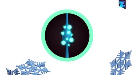 Mort mystérieuse par hypothermie: la vraie explication