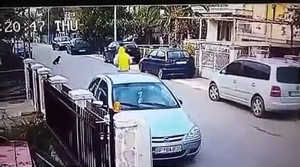 Un chien errant défend une femme lors d'un vol à l'arraché