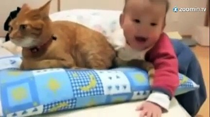 Un chat très placide quand on lui tire la queue