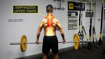 The Best Science-Based Trap Workout for Growth