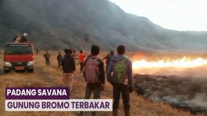 Kawasan Padang Savana Terbakar,  Wisata Gunung Bromo Ditutup Sementara
