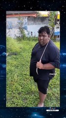 what the hell this transition