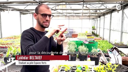 JT DES TERRITOIRES - 02/09/23 - ECONOMIE - ART - LOISIR