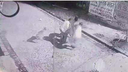 कुत्ते को पुचकार कर बुलाया, फिर रस्सी से बांधकर पटका, नहीं मरा तो पत्थर से सिर कूचा