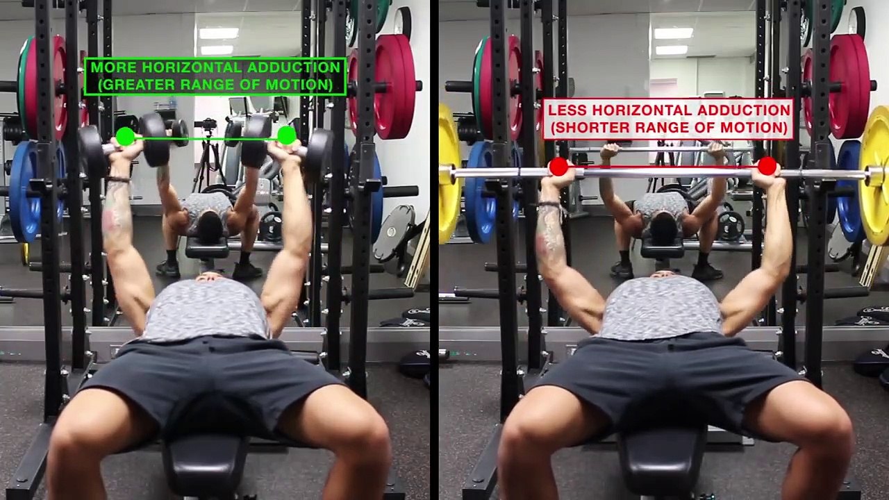 Barbells vs Dumbbells for Muscle Growth video Dailymotion