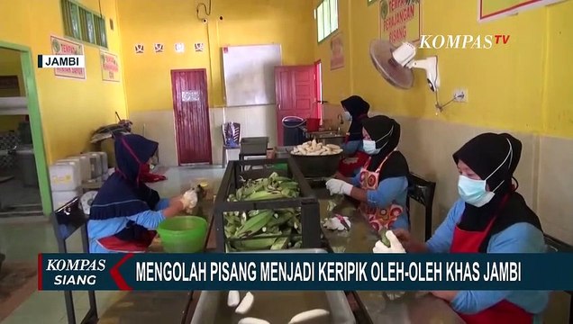 Melihat Cara Pengolahan Pisang Jadi Keripik Oleh-Oleh Khas Jambi