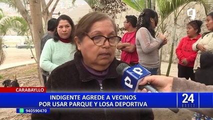 Carabayllo: vecinos exigen a autoridades actuar frente a indigente que los agrede por usar parque