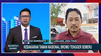 Télécharger la video: Update Kebakaran Taman Nasional Bromo Tengger Semeru: Api Sudah Mengecil