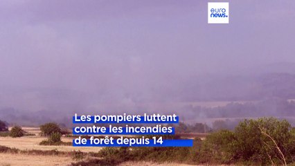 Incendies et inondations : la Grèce et l'Autriche en proie à des conditions météorologiques extrêmes