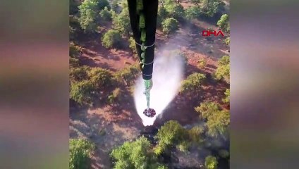 Incendie dans la forêt de Muğla maîtrisé