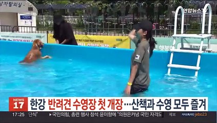 한강에 반려견 수영장 첫 개장…산책과 수영 모두 즐겨