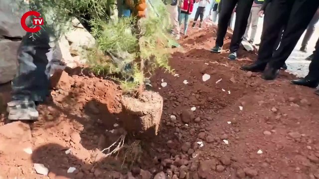 'Şeyhmus Amca', Bakan Koca'nın ev teklifini reddetti: 'Devlete zarar vermek istemiyorum'