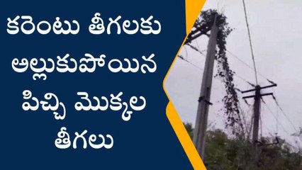 అన్నమయ్య జిల్లా: కొంచెం చినుకులు పడితే చాలు...వెంటనే పవర్ కట్!