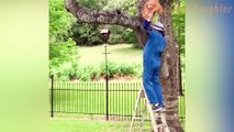 Kitten Rescue Gone Awry: Ladder Balancing Act Ends with a Twist!