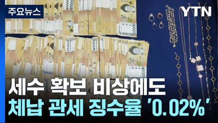 세수 확보 비상에도...체납 관세 징수율 '0.02%' 찔끔 / YTN