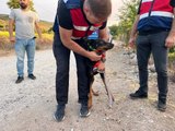 Kayıp Ekonomist Korhan Berzeg'i Arama Çalışmalarında Köpeği Tina Yardımcı Olamadı
