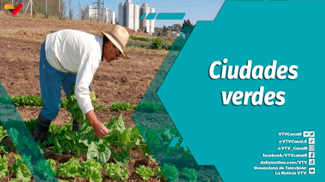 En la Mira | Huertos urbanos una nueva forma de convivir con el planeta