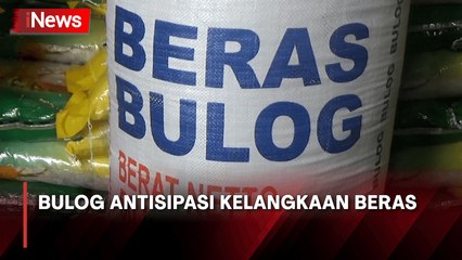 Bulog Sumut Siapkan 60 Ribu Ton Beras, Antisipasi Kelangkaan Beras