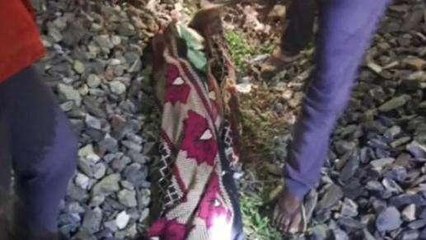 सिरोही: ट्रेन की चपेट में आने से युवक की दर्दनाक मौत, शव के हुए टुकड़े-टुकड़े