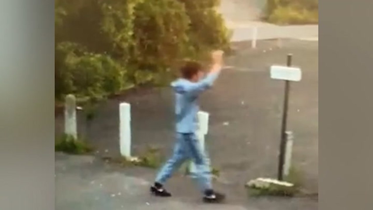 Thief waves at CCTV while stealing flower display from family business