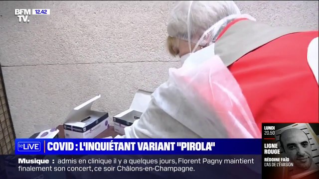 Moins dangereux, potentiellement plus contagieux... Ce que l'on sait du variant Pirola