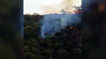 Incendie dans la forêt à Marmaris